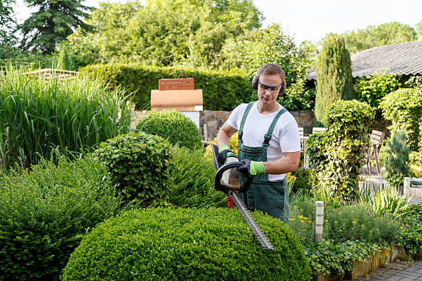 Best Lawn Renovation and Restoration  in Kennett Square, PA